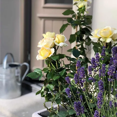 Villa Luxus - Kleine Rosenvilla *